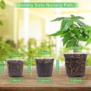 Bonviee 36 Packs 3.5/4/5 Inch Clear Nursery Pots, Transparent Plastic Planter with Drainage Holes, Seed Starting Pot Flower Plant Container -Clear