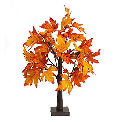 Dazzle Bright 24 Inch Lighted Thanksgiving Fall Maple Tree Decor, 24 LED Battery Operated Decorations Artificial Tree with Timer for Indoor Home Room Holiday Xmas Party