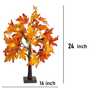 Dazzle Bright 24 Inch Lighted Thanksgiving Fall Maple Tree Decor, 24 LED Battery Operated Decorations Artificial Tree with Timer for Indoor Home Room Holiday Xmas Party