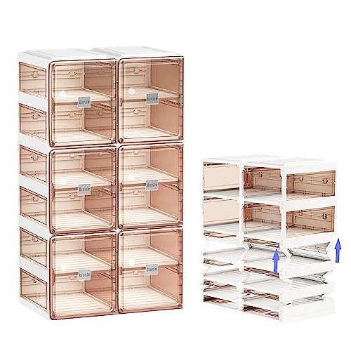 BINSIO Shoe Rack Closet Organizer and Storage, Portable Shoe Rack for Entry Way, Foldable Shoe Boxes, Fast Easy Assemble Shoe Cabinet, One Piece Sturdy Plastic Shoe Shelf, Clear Brown Doors, 6 Tiers