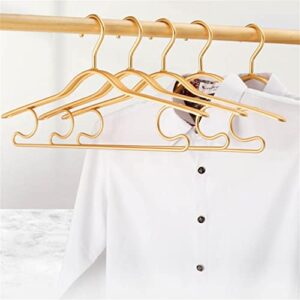 N/A 5-Pack Metal Hangers Aluminum Alloy Non-Slip Thickened Winter Coat Hangers Household Storage Hangers (Color : Gold, Size : 44.5 * 20.5cm)