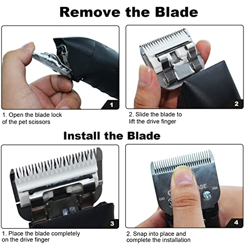 2PC 10 Blade Dog Grooming Clipper Replacement Blades Compatible with Andis Dog Clippers,Detachable Ceramic Blade & Stainless Steel Blade,Size-10, 1/16-Inch Cut Length (64315)