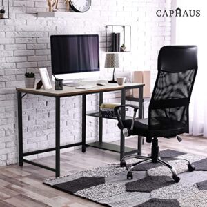 CAPHAUS Computer Desk, 40 Inch Home Office Desk, Study Writing Desk with 2-Tier Storage Shelves, Simple Industrial Modern Laptop Workstation with Splice P2 Grade Wooden Board, Rustic Oak and Black