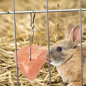 PINVNBY Rabbit Himalayan Salt Lick Block,Small Animals Chew Toys Rabbits Pink Natural Mineral Salts Blocks for Horses Bunny(8 Pcs)