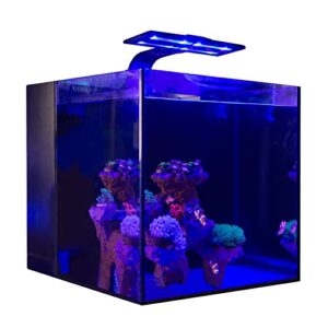 cfpatt aquarium square starter kit ultra clear glass rimless low iron fish tank with rear filtration chamber for beginners 5 gallon