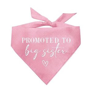 Promoted to Big Brother Or Promoted to Big Sister Gender Reveal Baby Announcement Dog Bandana (Baby Pink or Baby Blue)