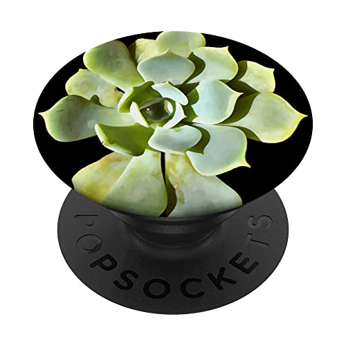 Succulent Echeveria Garden Plant Cut Out PopSockets Swappable PopGrip