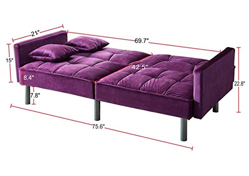 Legend Vansen Velvet Sleeper Loveseat with Pillow Twin Size Contemporary Sofas for Living Room and Bedroom Sofabed, 75.5'', Purple