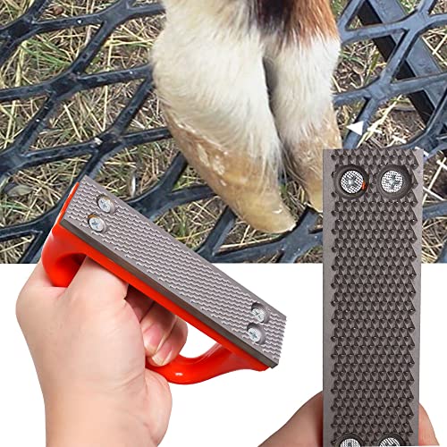 Wadoy Mini Hoof Rasp for Horses, Goat Feet Hooves, Hand-Held Rasp to Removes Excess Hoof Faster Horseshoe File Coarse Tooth for Foals, Goats and Other Animals