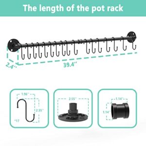 Auroglint Wall Mounted Pan Rack, Pan Organizer Hanging Pots Holder Kitchen Storage Shelf with 17 Hooks—black