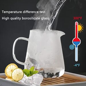 Glass Teapot (32oz/ 950ml) MJZQCD with Removable Stainless Steel Infuser,Glass Tea Pot transparent Stovetop tea Kettle,Blooming and Loose Leaf Tea Maker,Microwave & Dishwasher Safe