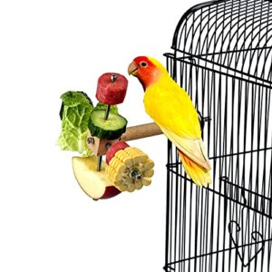 xnuoyo bird food holder, parrots foraging toys for birdcage, rotating stainless steel bird treat feeders, parrot fruit vegetable holder for parakeets parrotlets lovebirds cockatiels