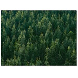 2' x 3' Forest Area Rug, Green Natrual Landscape Beautiful Tree Outdoor Indoor Washable Carpet Area+Rug for Living Room, Kids/Boys/Girls Bedroom, Bathroom, Classroom, Kitchen, Hallway, Throw Floor Mat