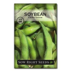 sow right seeds - chiba green soybean seed for planting - non-gmo heirloom packet with instructions to plant a home vegetable garden - old fashioned bush soybean variety - wonderful gardening gift