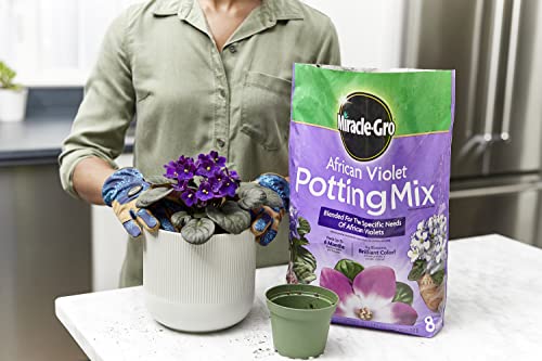 Miracle-Gro African Violet Potting Mix, 8qt, 2-Pack