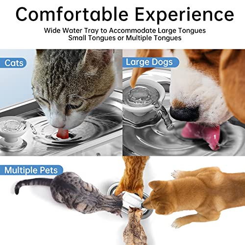 Cat Water Fountain - 304 Stainless Steel Tray, Ultra-Quiet Pump, Emergency Water Storage, Transparent Water Tank with Water Level Indicato, 84oz/2.5L, Oval Design Suitable for a Variety of Pets