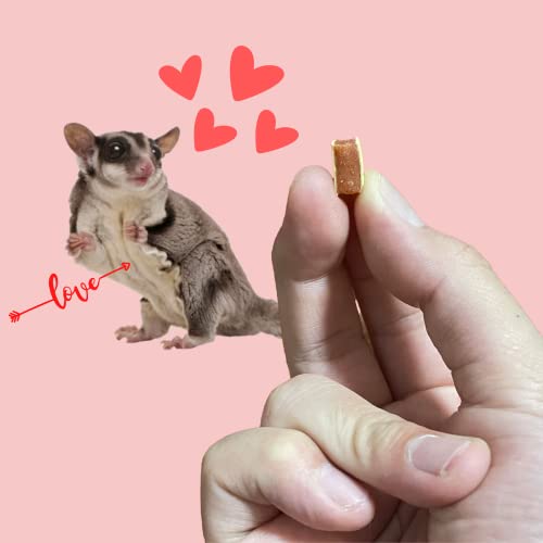 PETIVORE Premium Sushi Steak for Sugar Glider and Small Exotic Pet (Hamster, Squirrel, Chinchillas, Marmoset) Happy Treats, Snacks and Food (30g)