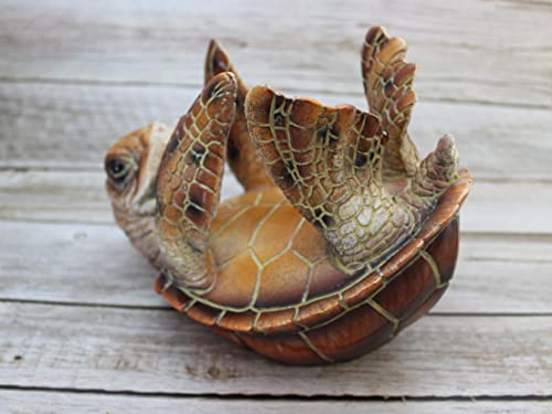 Sea Turtle Bottle Holder Turtle Figurine Natural Color Turtle Wine Bottle Holder