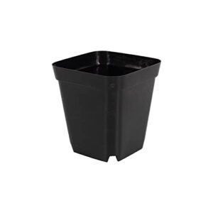 rootrimmer 10 cm 4 inches square nursery pots 60p, seedling plastic seeds propogation growing pots black