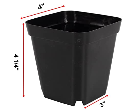 RooTrimmer 10 cm 4 inches Square Nursery pots 60P, Seedling Plastic Seeds propogation Growing pots Black