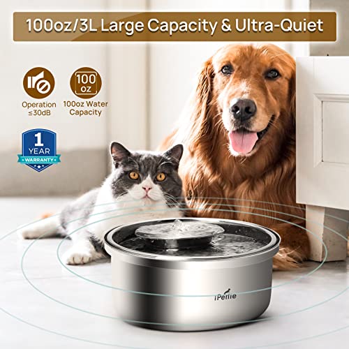 iPettie Trumpet Pet Water Fountain Stainless Steel Upgrade Version, 100oz/3L, Great for All Life Stages, 7 ° Tilted Design, Hygienic 4-Stage Filtration, Ultra Quiet Dishwasher Safe, with 3 Filters