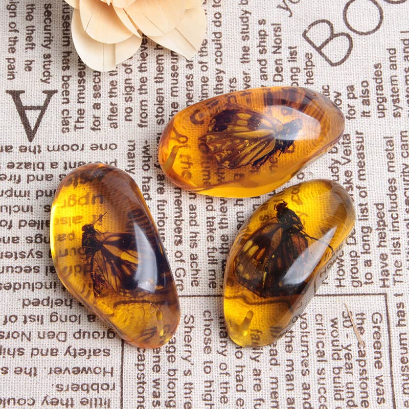 Acxico 1 Pcs Beautiful Amber Butterfly Fossil Insects Manual Polishing