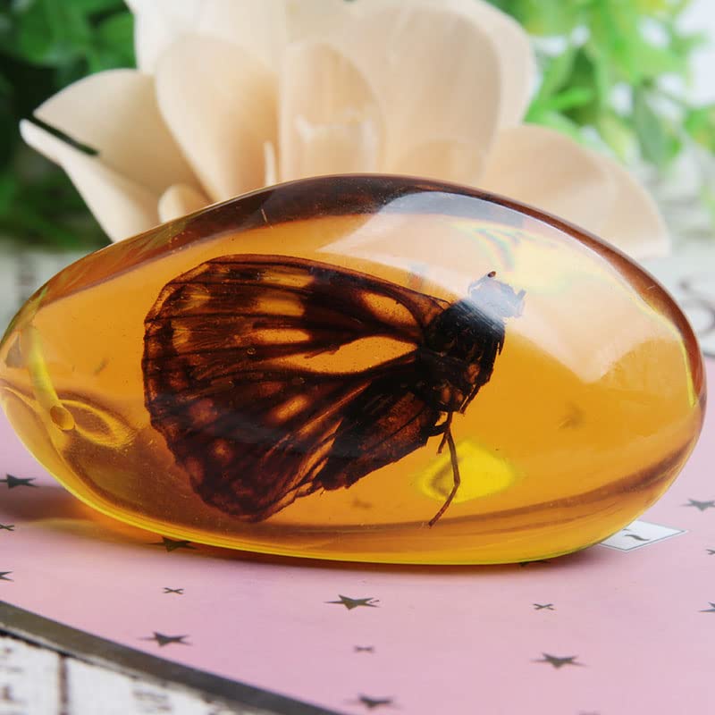 Acxico 1 Pcs Beautiful Amber Butterfly Fossil Insects Manual Polishing