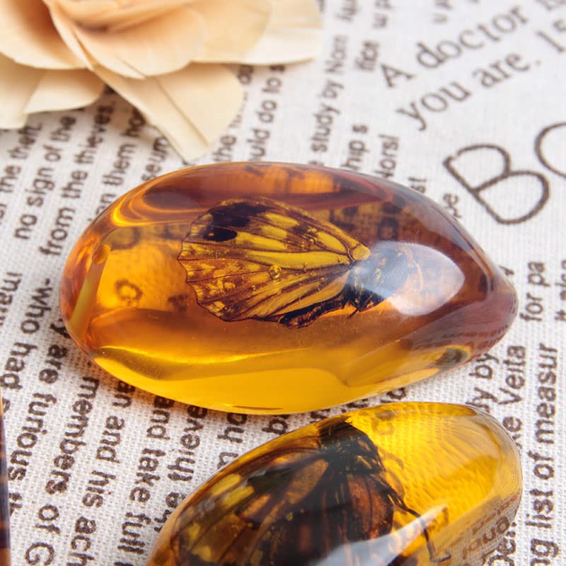 Acxico 1 Pcs Beautiful Amber Butterfly Fossil Insects Manual Polishing