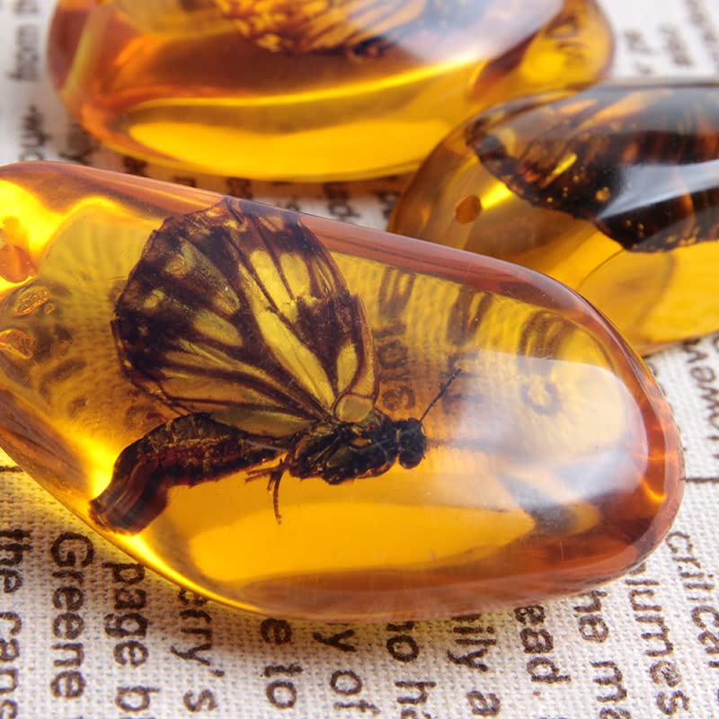 Acxico 1 Pcs Beautiful Amber Butterfly Fossil Insects Manual Polishing