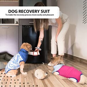 Queenmore Recovery Suit for Dogs Cats After Surgery,Dog Surgical Recovery Suit Onesie,Anti Licking Pet Female Spayed Neutered Puppy Surgical Clothes for Abdominal Wounds, Substitute E-Collar & Cone