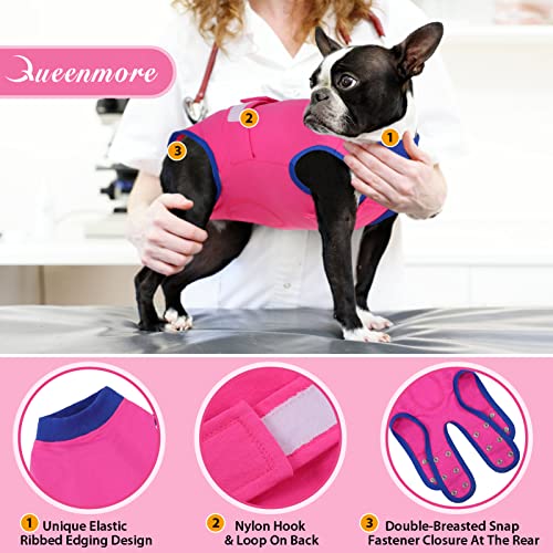 Queenmore Recovery Suit for Dogs Cats After Surgery,Dog Surgical Recovery Suit Onesie,Anti Licking Pet Female Spayed Neutered Puppy Surgical Clothes for Abdominal Wounds, Substitute E-Collar & Cone