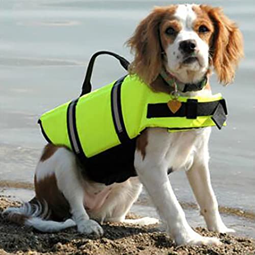 Dog Lifes Jacket Dog Lifes Vest with Reflective Stripes Adjustable Dog Lifesaver Pets Lifes Preservers with High Buoyancy Swimsuit for Small Medium and Dog Sweaters for Pets Small (F, XL)