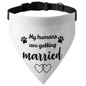 engagement gift, my humans are getting married dog bandana collar, wedding photo prop, pet scarf, dog engagement announcement, pet accessories (medium, white 1)