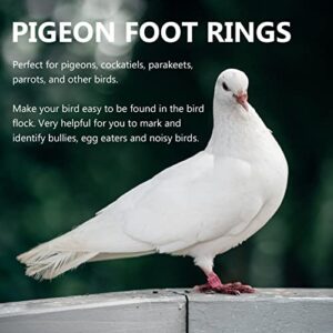 YARNOW 100Pcs Racing Pigeon Leg Rings Aluminium Numbered Bird Foot Ring Identify Dove Training Rings for Pigeon Parrot Finch Canary Hatch Poultry Rings Mixed Color