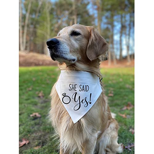 Engagement Gift, My Humans are Getting Married Dog Bandana Collar, Wedding Photo Prop, Pet Scarf, Dog Engagement Announcement, Pet Accessories (Medium, Black+White)