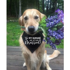 Engagement Gift, My Humans are Getting Married Dog Bandana Collar, Wedding Photo Prop, Pet Scarf, Dog Engagement Announcement, Pet Accessories (Medium, Black+White)