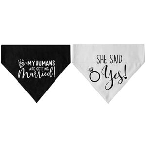 Engagement Gift, My Humans are Getting Married Dog Bandana Collar, Wedding Photo Prop, Pet Scarf, Dog Engagement Announcement, Pet Accessories (Medium, Black+White)