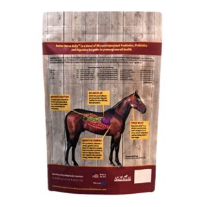 animal health solutions equerry's better horse belly 3.2lb