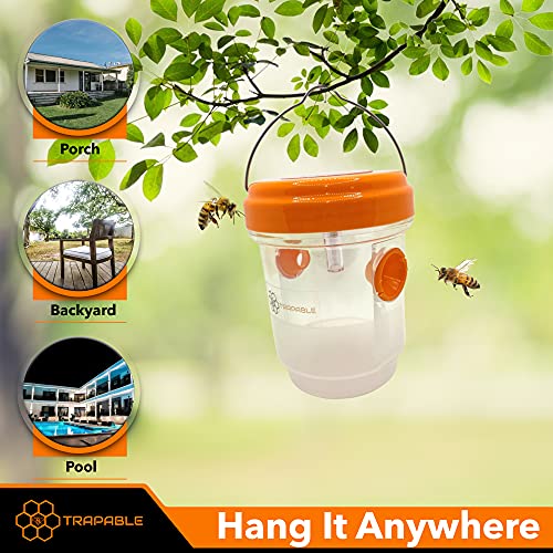 Trapable 3 Pack Carpenter Bee, Yellow Jacket and Wasp Traps for Outdoors – Hanging Design with Solar LED Light Catch Flying Insects from Patio, YardGarden Within Hours Flies, Hornets and Wasp Killer