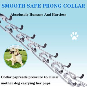 Prong Collar for Dogs, Pinch Collar for Dogs, Adjustable Dog Training Collar with Metal Quick Release Buckle for Small Medium Large Dogs (M Neck: 15"-18''