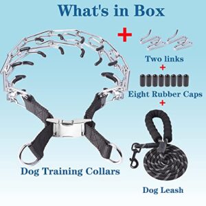 Prong Collar for Dogs, Pinch Collar for Dogs, Adjustable Dog Training Collar with Metal Quick Release Buckle for Small Medium Large Dogs (M Neck: 15"-18''