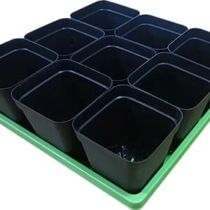 RooTrimmer 10-Pack Microgreen Seed Starter Grow Trays for Seedlings, Shallow Seeding Germination Flats Non Standard 1010 Tray no Holes Plant Sprouter Propogation Tray