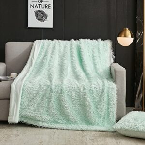 WERDIM Plush Faux Fur Throw Blanket Aqua - Luxury Soft Fluffy Fuzzy Sherpa Velvet Throw Blankets for Couch Sofa Bed, 50x70 inches