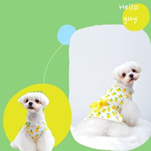 MSNFOASM 3-Pack Cherry Lemon Pineapple Print Dog Dress,Doggie Tank Top Vest Dresses,Holiday Cat Outfits,Soft Clothes for Small Dogs Girl(Small)