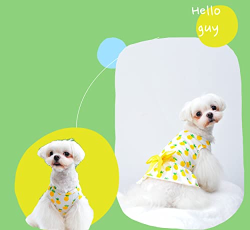 MSNFOASM 3-Pack Cherry Lemon Pineapple Print Dog Dress,Doggie Tank Top Vest Dresses,Holiday Cat Outfits,Soft Clothes for Small Dogs Girl(Small)