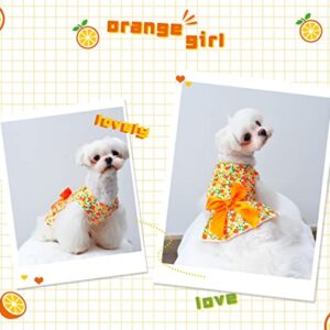 MSNFOASM 3-Pack Cherry Lemon Pineapple Print Dog Dress,Doggie Tank Top Vest Dresses,Holiday Cat Outfits,Soft Clothes for Small Dogs Girl(Small)