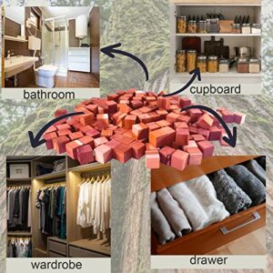 Cedar Blocks for Clothes Storage SHIRSOON 200pcs Cedar Smooth Cubes+20pcs Satin Bags for DIY Cedar Sachets,100% Aromatic Red Cedar Wood Accessories for Closets Storage