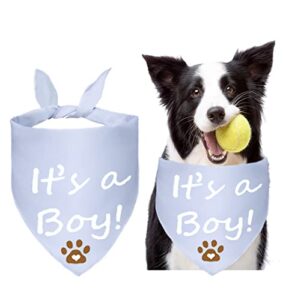 waghaw gender reveal dog bandana, it's a girl it's a boy dog bandana gender reveal bandana for small medium large (small (pack of 1), blue)