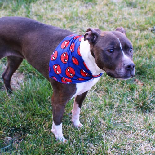 Marvel Spiderman Officially Licensed 2 Pack Pet Bandanas - I Am Spiderman & Spidey Logo Dog & Cat Bandana Set - Super Hero Costume Scarf Fits Dogs, Cats & Puppies Size Large & X-Large (Collar 32"X14")