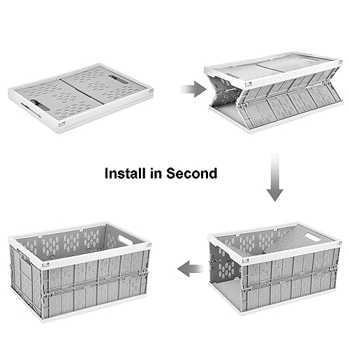 Livememory 2 Pack Collapsible Crates - Foldable Crates, 31 Liters Plastic Milk Crate Storage Bin for Home, Laundry, Clothes(17.7x 12 x 9 inches)